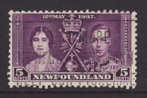 Newfoundland 232 Used BIN