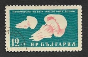 SD)1961 BULGARIA FAUNA OF THE BLACK SEA, AGUAMALA - MEDUSA AGUAMALA, USED