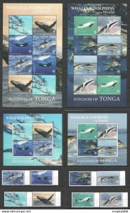 2020 Tonga Whales & Dolphins !!! Sale Marine Life 2Sh+2Kb+Full Set ** Nw689-94