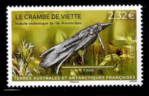 2024 FSAT le crambe de viette (Scott NA) MNH