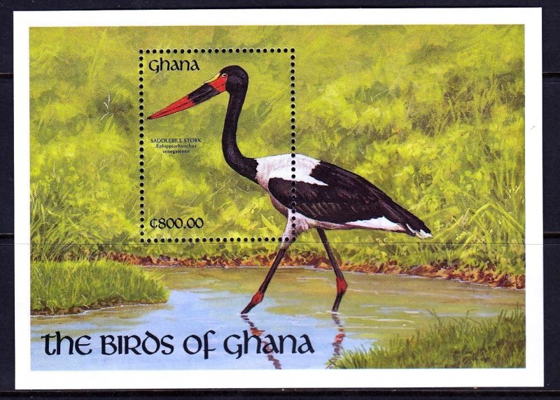 Ghana 1991 Birds - Saddlebill Stork Mint MNH Miniature Sheet SC 1347