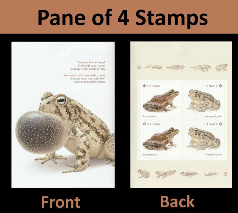 Canada 3421-3422 Endangered Frogs pane 4 MNH 2024