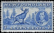 NEWFOUNDLAND   #235 MNH (6)