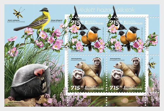 Stamps of Hungary Europa 2021 - Endangered National Wildlife - Miniature Sheet | Europe - Hungary, General Issue Stamp / HipStamp Stamps of Hungary Europa 2021 - Endangered National Wildlife - Miniature Sheet | Europe - Hungary, General Issue Stamp / HipStamp