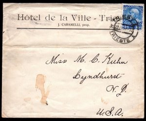 AUSTRIA TRIESTE 1908 HOTEL DE LA VILLE COVER TRIESTE TO LYNDHURST. N.J.