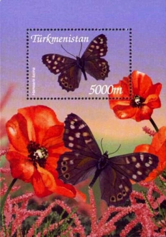 Exclusive Birds Ducks Butterflies Stamps of Turkmenistan 2002