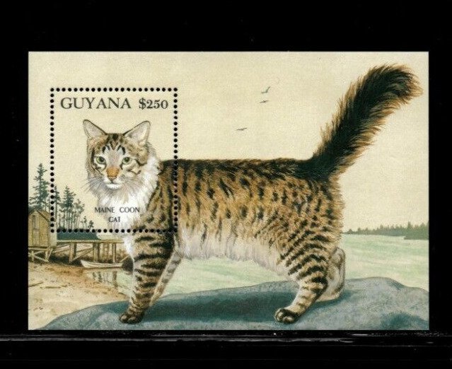 Guyana 1992 - Cats - Souvenir Sheet Stamp - Scott #2590 - MNH