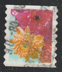 Canada     Nou006    (O)    2020