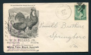 1890 W.H. Picard - Chicken Breeder - Smethport, Pennsylvania to Springboro, PA