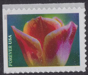 US 5558-5567 Garden Beauty forever set (10 stamps) MNH 2021