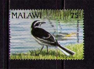 MALAWI Sc# 598t MH FVF Bird African Pied Wagtail