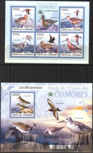 Comoro Islands 2009 Birds Sandpipers Sheet + S/S MNH