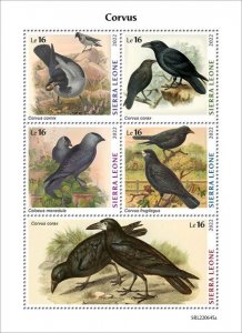 Sierra Leone - 2022 Corvus, Raven, Jackdaw, Rook - 5 Stamp Sheet - SRL220645a
