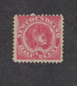 Newfoundland 56 - Newfoundland Dog Half Cent Orange Red.  MLH.OG.  #02 NEW56MLH