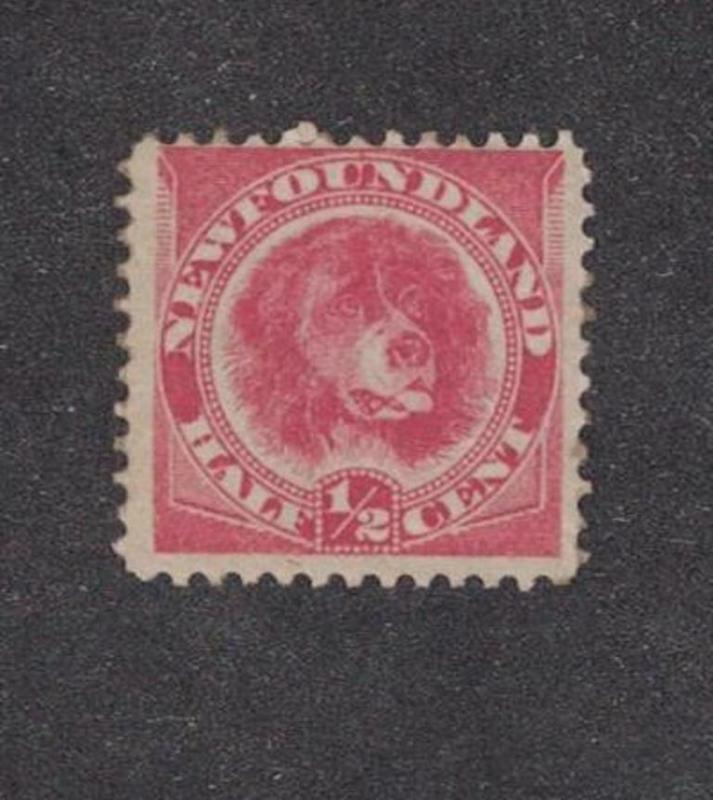 Newfoundland 56 - Newfoundland Dog Half Cent Orange Red.  MLH.OG.  #02 NEW56MLH