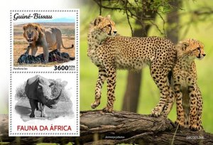 Guinea-Bissau - 2023 African Fauna, Lion - Stamp Souvenir Sheet - GB230139b