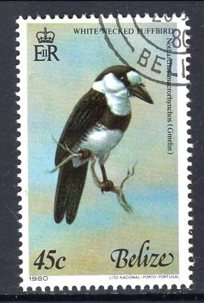 Belize 500d Bird Used VF