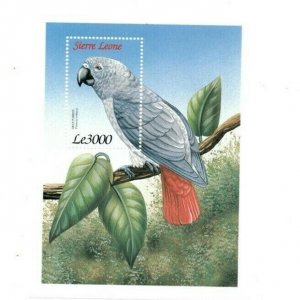 Sierra Leone 1999 - Gray Parrot, Wildlife - Souvenir Sheet - Scott 2206 - MNH