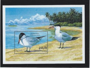 Maldive islands birds souvenir sheet  mnh sc  1872