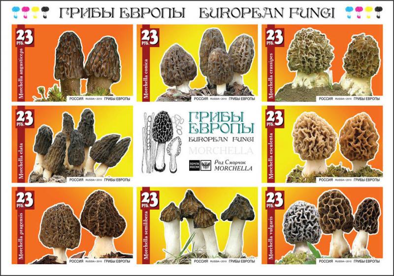 RUSSIA LOCAL SHEET IMPERF MUSHROOMS