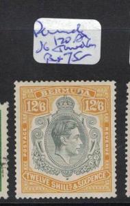 Bermuda SG 120a Toned Gum, The spot By The D Is Not Real MOG (6drx)