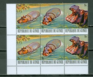 GUINEA 1977 HYPPOPOTAMUS #757 CORNER BLK...MNH...$8.00