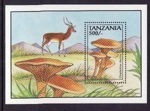 D1-Tanzania-Sc#1016-unused NH sheet-Mushrooms-Fungi-Omphalot