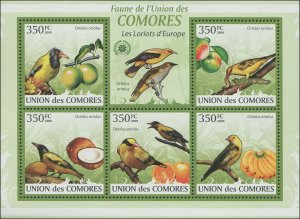 Comoro Island 2009 Mi 2362-2364 Birds Orioles CV $9