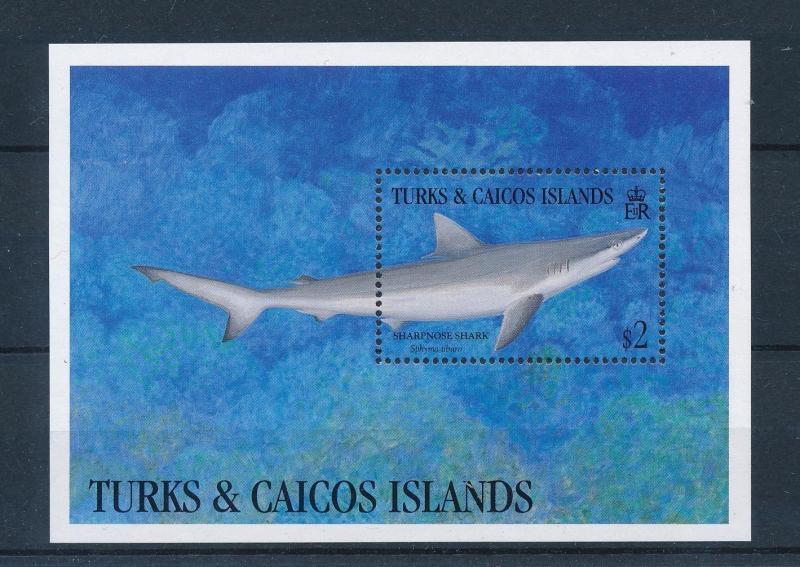 [46792] Turks and Caicos Islands 1993 Marine life Shark MNH Sheet