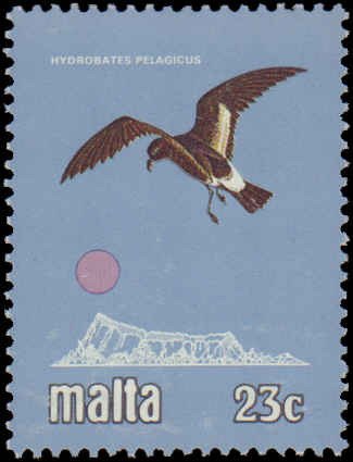 Malta #580-583, Complete Set(4), 1981, Birds, Never Hinged