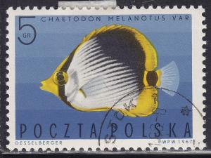 Poland 1492 Striped Butterfly Fish 1967