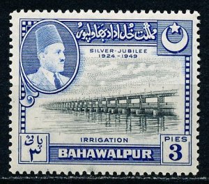 Bahawalpur #22 Single MNH