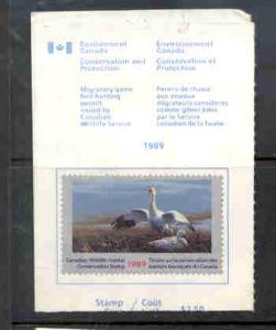 Canada 1989 Snow Geese stamp on license used