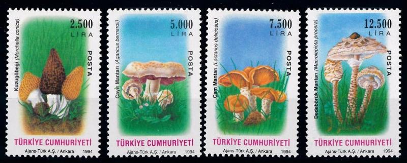 [68911] Turkey 1994 Mushrooms Pilze Champignons  MNH