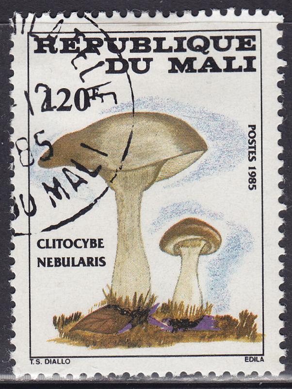 Mali 516  Mushrooms 1985