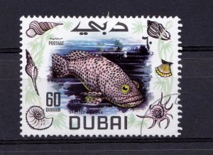 Dubai           102       used