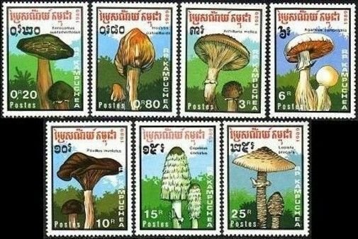 Cambodia 970-976,MNH.Michel 1048-1054. Mushrooms 1989.