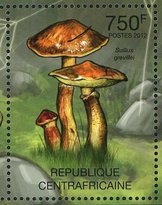 Mushrooms Stamp Boletus Erythropus Suillus Grevillei Calopus S/S MNH #3612-3615 