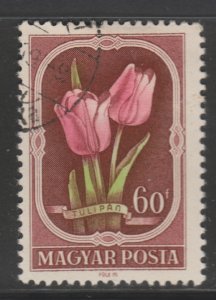 Hungary 976 Tulip 1951