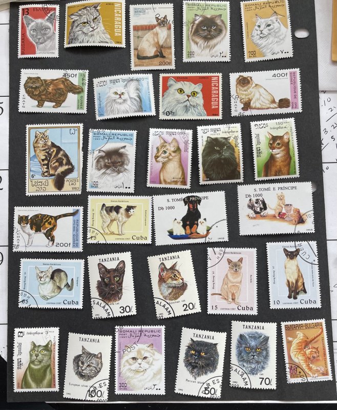 World  Wide Cat Stamps Mixture Cute Selection some series.  Free Shipping