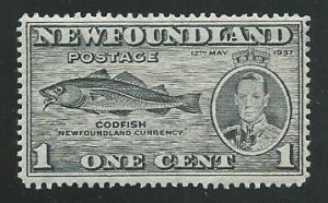 Newfoundland 233   MNHVF     1937   PD