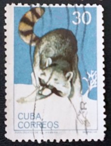 Cuba    Sc# 900  NATIONAL ZOO ANIMALS     30c  RACCOON   1964 used / cto