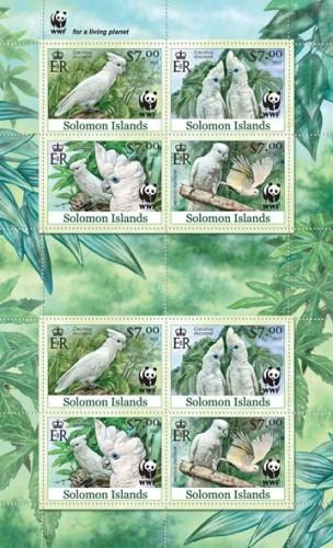 SOLOMON ISLANDS 2013 SHEET WWF WILDLIFE PARROTS PERROQUETS BIRDS slm13101a