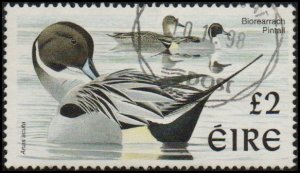 Ireland 1111 - Used - £2 Pintail Duck (1998) (cv $9.00)