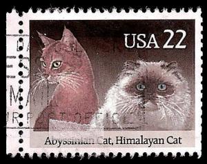# 2373 USED ABYSSINIAN & HIMALAYAN