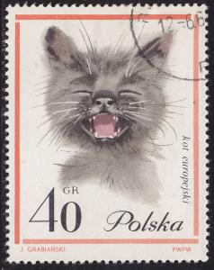 Poland 1217 European Cats 1964