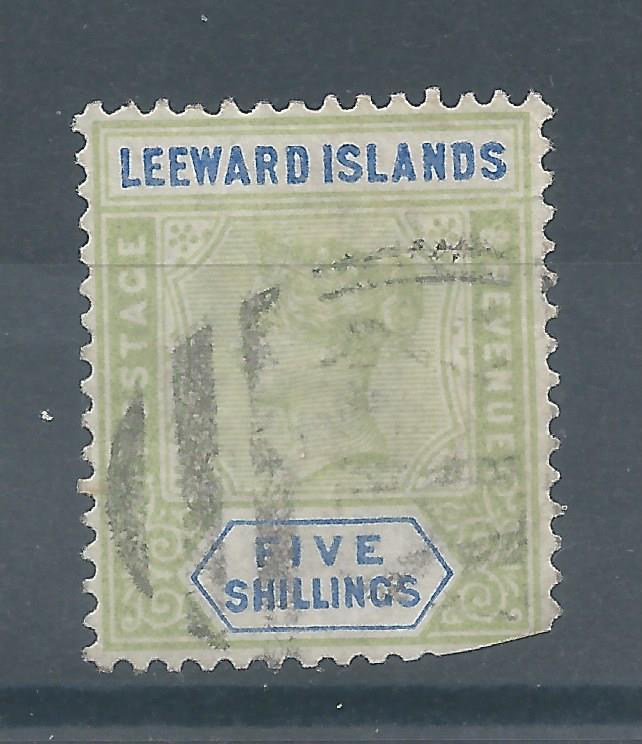 Leeward 8 U