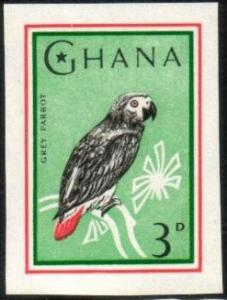 Bird, Gray Parrot, Ghana stamp SC#195 MNH, imperf