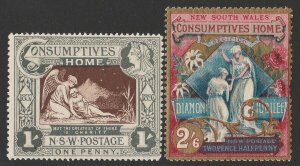 NEW SOUTH WALES 1897 Consumptives Home QV Charity set 1d & 2½d. MNH **.