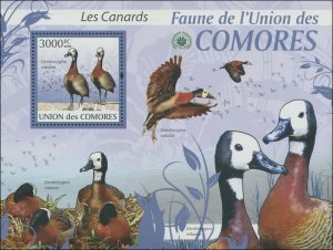 Comoro Island 2009 MI 2418/B515 Birds Ducks CV $15.50